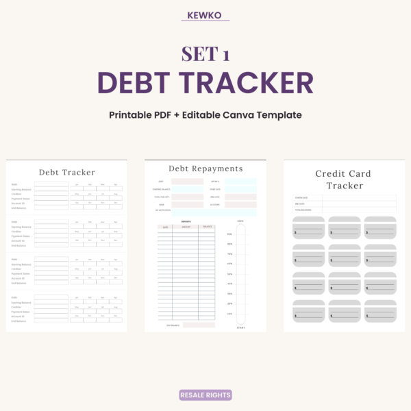 DEBT TRACKER SET 1.png